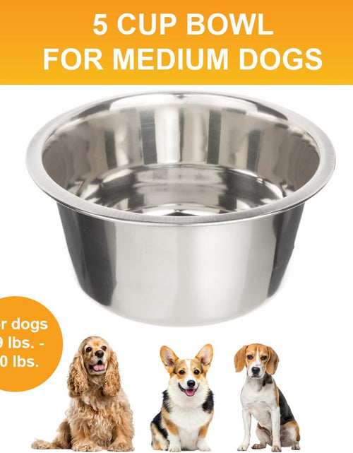 Load image into Gallery viewer, Stainless Steel Dog and Cat Bowls - Neater Feeder Deluxe or Express Extra Replacement Bowl (Metal Food and Water Dish) (5 Cup)
