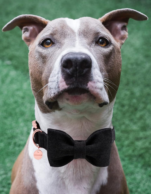 Load image into Gallery viewer, Hemp Cotton Dog Collar with Bow, Black Pet Collar Durable Adjustable Puppy Collar for Small Medium Large Dogs
