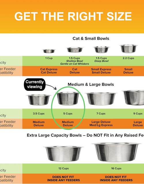 Load image into Gallery viewer, Stainless Steel Dog and Cat Bowls - Neater Feeder Deluxe or Express Extra Replacement Bowl (Metal Food and Water Dish) (5 Cup)
